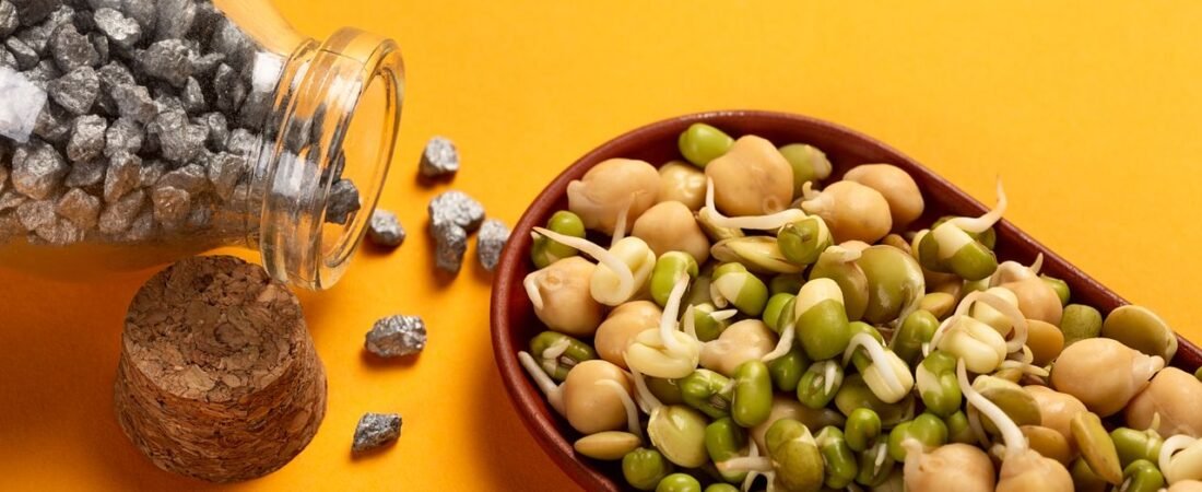 Iron Rich Foods: Nutritious Choices to Support Healthy Iron Levels