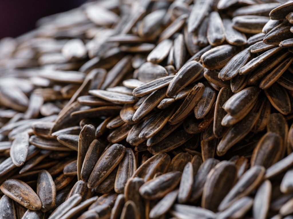 Detailed close-up image of a large pile of sunflower seeds, showcasing texture and natural feel.